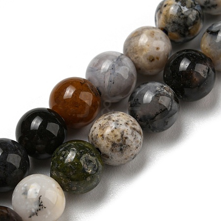 Natural Dendritic Jasper Beads Strands G-R494-A23-02-1