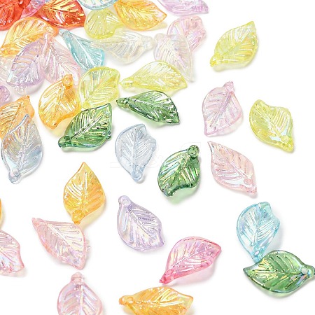 Transparent Acrylic Pendants MACR-F084-02-1