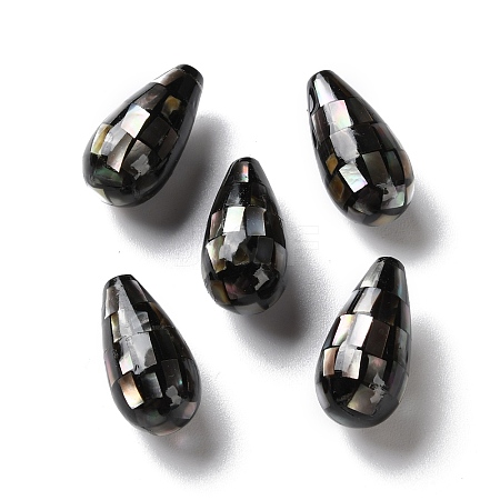 Natural Black Lip Shell Beads SSHEL-B002-10A-01-1