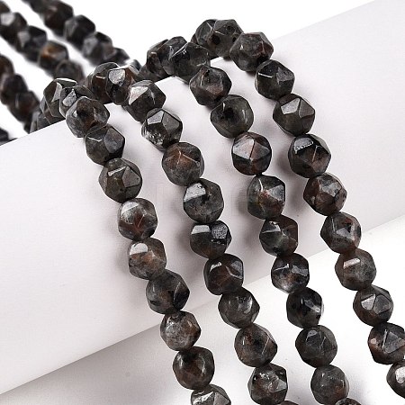 Natural Syenite Beads Strands G-T138-219-1