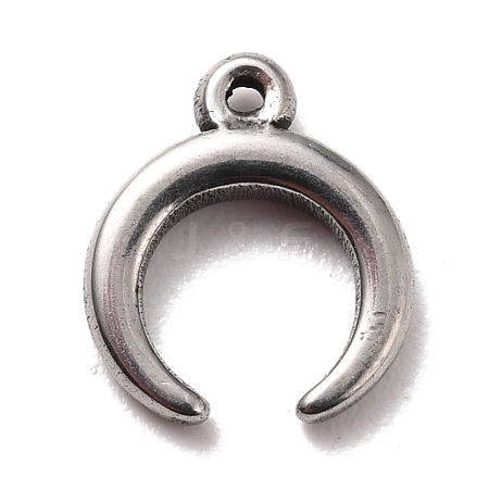 Non-Tarnish 304 Stainless Steel Charms STAS-B024-27P-1