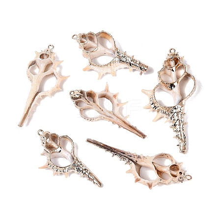 Electroplate Natural Shell Big Pendants SSHEL-N042-20-1