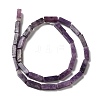 Natural Lepidolite/Purple Mica Stone Beads Strands G-E612-C05-A-3