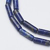 Natural Lapis Lazuli Beads Strands G-G968-F04-3