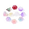 Glass Bead Caps GLAA-T025-26-1