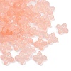 Frosted Transparent Acrylic Beads X1-OACR-P029-09B-02-2