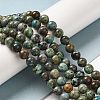 Natural Turquoise Beads Strands G-P506-04B-02-4