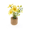 Plastic Potted Plant Mini Model PW-WGD7CCF-01-1