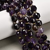 Natural Amethyst Beads Strands G-P568-B01-01-1