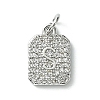 Rack Plating Brass Micro Pave Clear Cubic Zirconia Charms KK-G501-01S-P-1