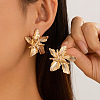 Flower Alloy Stud Earrings FS-WG95854-05-1