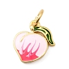 Brass Enamel Charms KK-A268-30G-02-1