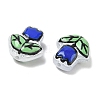 Transparent Glass Enamel Beads LAMP-C023-01B-3