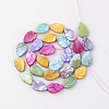 Natural Freshwater Shell Beads SHEL-Q008-05-2