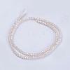 Electroplate Glass Beads Strands GLAA-F077-FR14-2