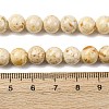 Natural Dyed Marble Beads Strands G-P593-8mm-06-5