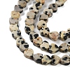 Natural Dalmatian Jasper Beads Strands G-M403-A31-01-4