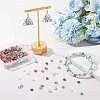 SUNNYCLUE 320Pcs 8 Style 2-Hole Glass Seed Beads SEED-SC0001-09-4