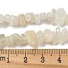 Natural White Moonstone Beads Strands G-P332-01-7