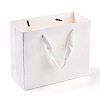 Rectangle Paper Bags with Rope Handles CARB-L011-02B-06-4