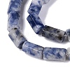 Natural Blue Spot Jasper Beads Strands GG-N002-01A-25-4