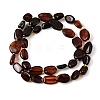 Natural Amber Beads Strands G-K376-G01-01-3