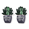 Opaque Resin Decoden Cabochons LS-AJEW-N001-01-1