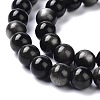 Natural Silver Obsidian Beads Strands X-G-D083-01B-3