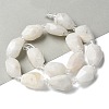 Natural Rainbow Moonstone Beads Strands G-H095-A07-01-2