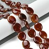 Natural Carnelian(Dyed & Heated) Beads Strands G-K365-B01-02-2