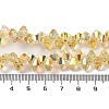 Half Rainbow Plated Electroplate Beads Strands EGLA-H104-07A-HR02-4