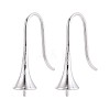 304 Stainless Steel Earring Hooks STAS-N108-30P-1