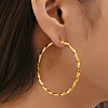 Stainless Steel Hoop Earrings for Women VH1071-3