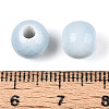 Handmade Porcelain Beads PORC-T133-11A-18-3
