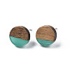 Transparent Resin & Walnut Wood Stud Earrings EJEW-N017-008-A04-2