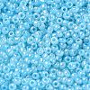 8/0 Glass Seed Beads X1-SEED-A011-3mm-143-3