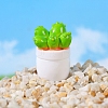 Resin Cactus Pot Model PW-WGF944F-02-1