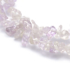 Natural Amethyst Beads Strands G-P332-64-2