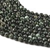Natural Seraphinite Beads Strands G-K376-A02-5mm-4