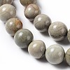 Natural Silver Leaf Jasper Beads Strands G-F627-13-2