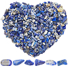 500G Natural Lapis Lazuli Chip Beads G-SP0001-07-1