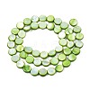 Freshwater Shell Beads Strands SHEL-T009-B16-04-2