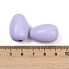 Spray Painted Wood European Beads WOOD-F017-10D-3