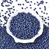 Picasso Baking Paint Glass Seed Beads SEED-N007-35H-2