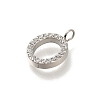 304 Stainless Steel Micro Pave Cubic Zirconia Pendants STAS-H228-06P-O-2
