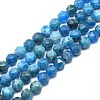 Natural Apatite Beads Strands G-F715-014-1