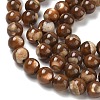 Natural Trochus Shell Beads Strands SH-CBAFEDD-02B-3