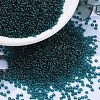 MIYUKI Round Rocailles Beads SEED-G007-RR2406-1