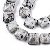 Natural Sesame Jasper Beads Strands G-N326-140F-3