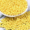 Baking Paint Luster Glass Seed Beads X1-SEED-B001-04A-06-1